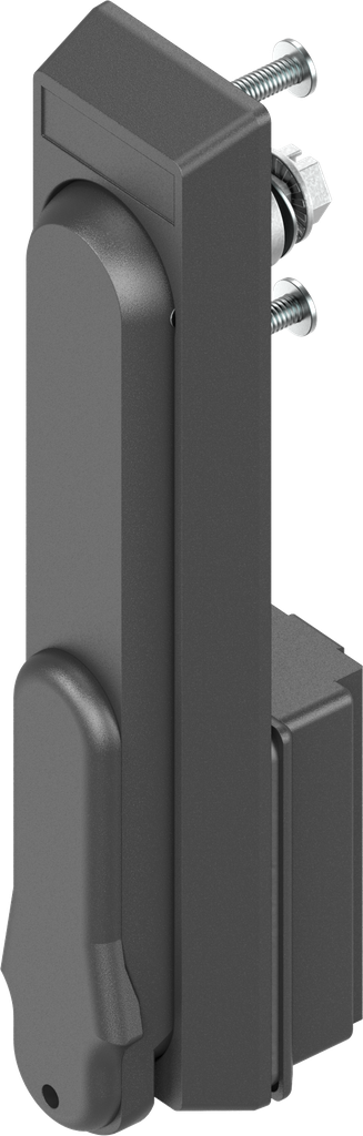 Schwenkgriff Schwenkhebel Verschluss Schaltschrank EK 333 Zylinder 1125-U206-G
